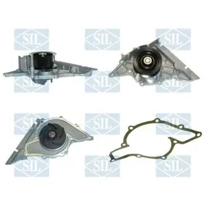 Saleri PA1051A POMPE A EAU SALERI pas cher