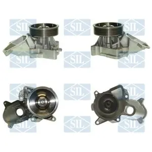 Saleri PA1248 POMPE A EAU SALERI pas cher