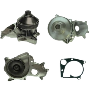 Saleri PA1072 Pompe A Eau SALERI pas cher