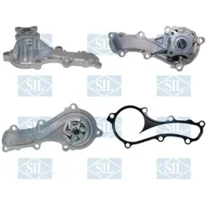 Saleri PA1331 POMPE A EAU SALERI pas cher