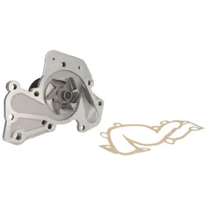 Saleri PA1306 POMPE A EAU SALERI pas cher