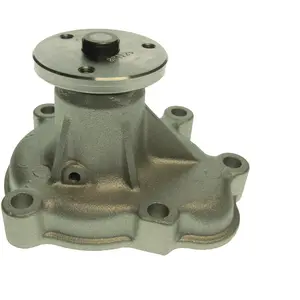 Saleri PA1509 POMPE A EAU SALERI pas cher
