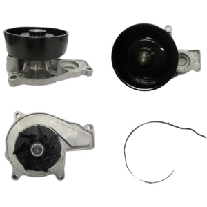SALERI Pompe à eau pour MINI: MINI & BMW: X1, Série 2, X2 (Ref: PA1598) pas cher