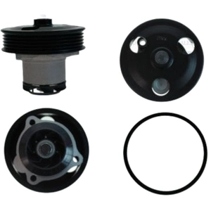 Saleri Pompe à eau SIL PA1705 pas cher