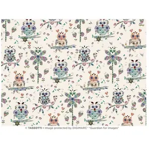 Papier Italien 50 x 70 cm 85 g/m² HibouxVendu parscrapmalin