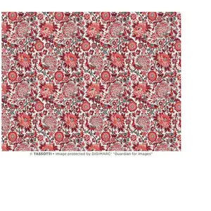 Papier Italien 50 x 70 cm 85 g/m² Paons rougesVendu parscrapmalin
