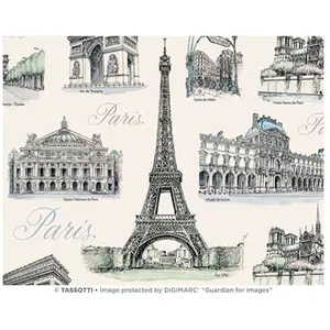 Papier Italien 50 x 70 cm 85 g/m² Paris