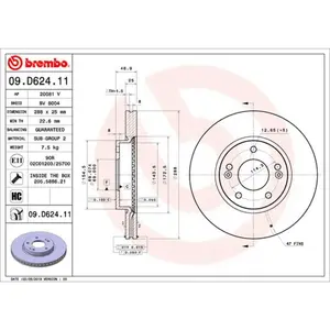 Jeu de 2 disques de frein vernis BREMBO 09.D624.11 - Réf. 1393880 pas cher
