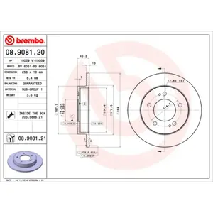 Jeu de 2 disques de frein vernis BREMBO 08.9081.21 - Réf. 1393554 pas cher