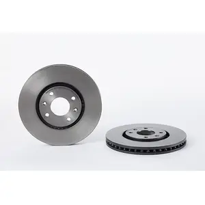 BREMBO Disques de frein pour CITROËN: C5, Xantia (Ref: 09.7877.11)