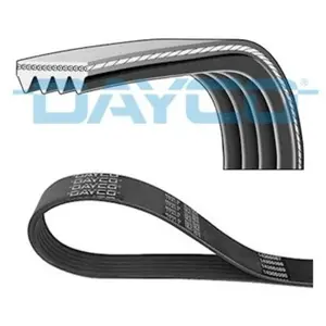 Courroie Trapézoïdale Poly-V Nissan Dayco 4pk785s pas cher