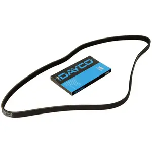 Courroie trapézoïdale à nervures DAYCO 4PK845 pas cher