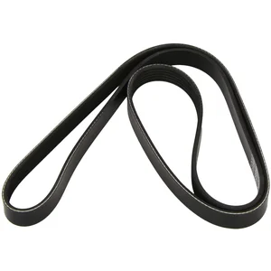 Courroie trapézoïdale à nervures DAYCO DAY6PK1500 pas cher