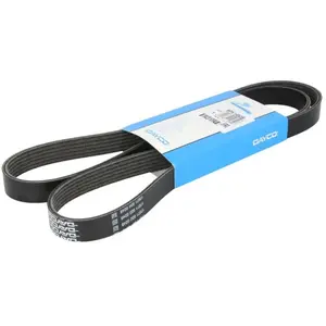 Courroie trapézoïdale à nervures DAYCO DAY6PK1452S pas cher