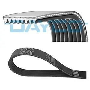Courroie Poly V Scania Dayco 8pk2465hd pas cher