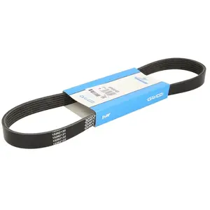 Courroie trapézoïdale à nervures DAYCO DAY6PK831EE pas cher