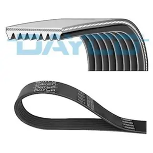 Courroie trapézoïdale à nervures DAYCO DAY8PK1548HD pas cher