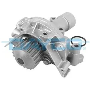 DAYCO Pompe à eau DP248 pas cher