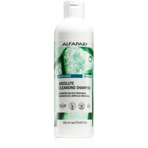 Alfaparf Milano Hair & Body Shampooing nettoyant en profondeur 250 ml pas cher