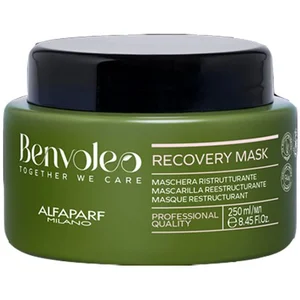 Comparateur de prix : Alfaparf Milano Benvoleo Recovery Mask 250ml - masque restructurant