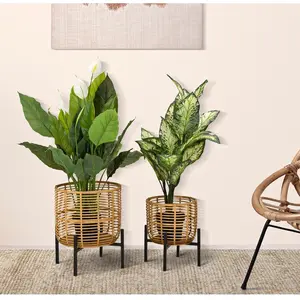 Comparateur de prix : Mauro Ferretti - 2 Porte-plante multicolores T.U