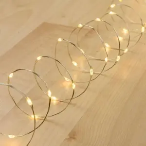 LOTTI Guirlande lumineuse piles 4M 40 Micro LED blanc chaud fixe câble argen... pas cher