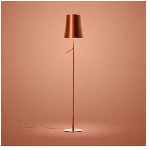 Foscarini Birdie Lampadaire, LED, FN221004L_80,