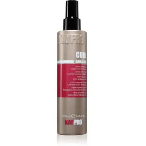 Comparateur de prix : Spray Curl curly and wavy KayPro 200ml