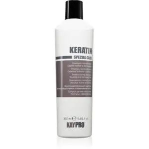 Comparateur de prix : Kaypro Shampoo Keratina Reestruturação e Reforço 350 ml