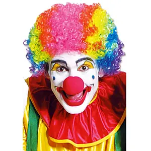 W WIDMANN MILANO Party Fashion Perruque carnaval : perruque Clown multicolore