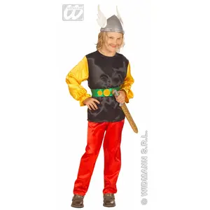 Comparateur de prix : W WIDMANN Déguisement Gaulois 12/14 ans (150 à 162 cm)