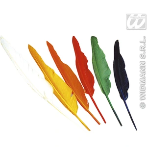 Comparateur de prix : Widmann Set De 12 Plumes D'Indien