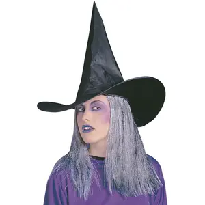 Comparateur de prix : Chapeau de Sorcière avec Cheveux - WIDMANN - Accessoire de déguisement - Noir et Gris