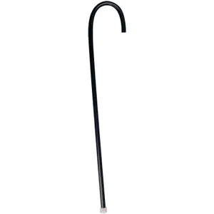 Comparateur de prix : DEGUISE TOI Accessoire déguisement vendu seul - Canne noire