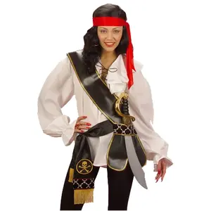 Comparateur de prix : WIDMANN Porte Épée Pirate