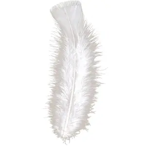 Comparateur de prix : Widmann Plumes Blanches - Marque - Palette de dinde - 10cm - Sachet de 50
