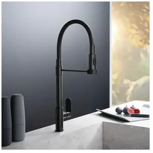 Fortis Lica flex Robinetterie de cuisine à 2 types de jets, pivotante,...