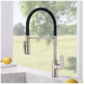Fortis Lica flex Robinetterie de cuisine à 2 types de jets, pivotante ...