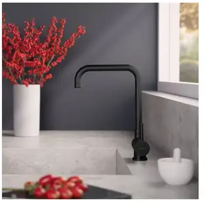 Fortis Brera window Mitigeur de cuisine pivotant, montage devant une f...