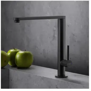 Fortis Brera Mitigeur de cuisine, pivotant, 7857901MB, pas cher