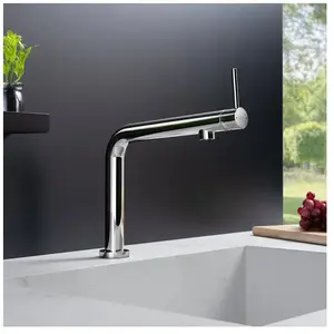 Fortis Brera top Mitigeur de cuisine, 7857900PC, pas cher