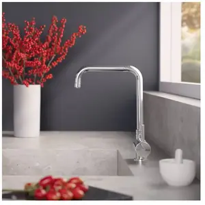 Fortis Brera window Mitigeur de cuisine pivotant, montage devant une f... pas cher