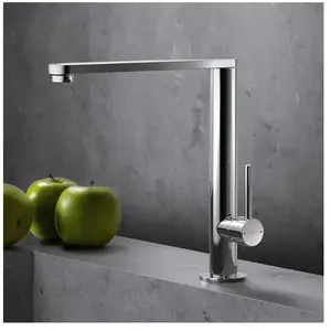 Fortis Brera Mitigeur de cuisine, pivotant, 7857901PC, pas cher