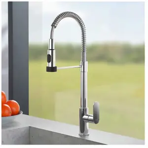 Fortis Lica spring Robinetterie de cuisine à 2 types de jets, pivotant...