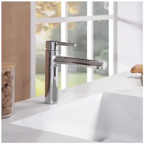 Fortis Barona Mitigeur de cuisine, pivotant, 6458300PC, pas cher