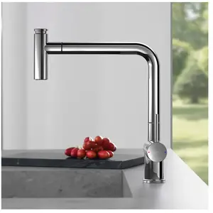 Fortis Brera extend Robinetterie de cuisine à 2 types de jets, pivotan...