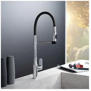 Fortis Lica flex Robinetterie de cuisine à 2 types de jets, pivotante,...