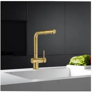 Fortis Brera extend Robinetterie de cuisine à 2 jets, pivotante, douchette extractible, 0056600BG, pas cher