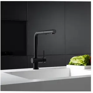 Fortis Brera extend Robinetterie de cuisine à 2 jets, pivotante, douch...