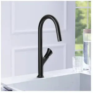 Fortis Lica Sense Mitigeur de cuisine pivotant, 7G57200MB,